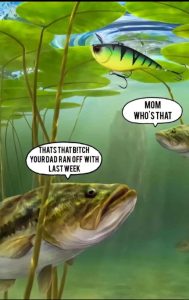 Stupid Bar Memes 67ca53414e322