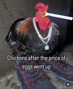 Stupid Bar Memes 67cb036e0c18c