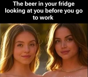 Stupid Bar Memes 67cba6820a86a