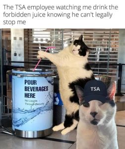 Stupid Bar Memes 67cc894c3b0ef