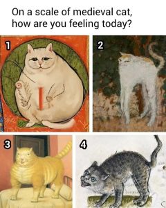 Stupid Bar Memes 67d0406057f6b