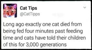 Stupid Bar Memes 67d147be914d4