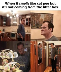 Stupid Bar Memes 67d44ddbb87e0