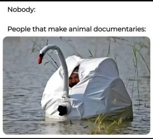 Stupid Bar Memes 67d4b7f3de806