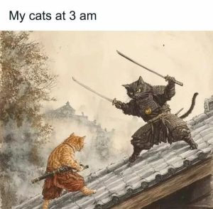 Stupid Bar Memes 67d613863f7a0