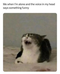 Stupid Bar Memes 67d6cc6f3eb3c