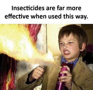 Stupid Bar Memes 67d85a2332a2c