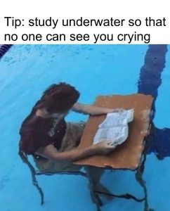 Stupid Bar Memes 67d90e5791163
