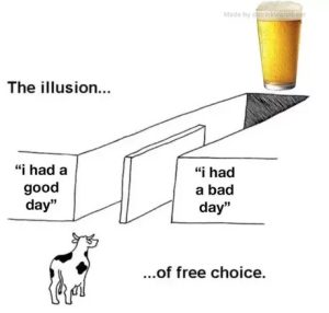 Stupid Bar Memes 67d9306a6dfc3