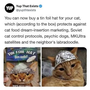 Stupid Bar Memes 67da961665a22