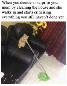 Stupid Bar Memes 67da96df0c381