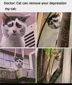 Stupid Bar Memes 67db522d176f4