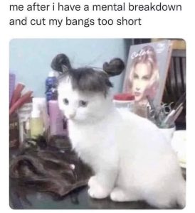 Stupid Bar Memes 67dd8bd9dfce4