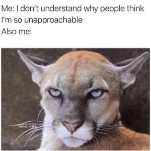 Stupid Bar Memes 67dd8cb4c894c