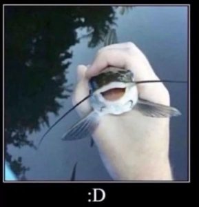 Stupid Bar Memes 67de1eef0704a