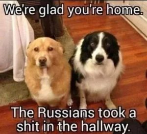 Stupid Bar Memes 67de6e0f74af5