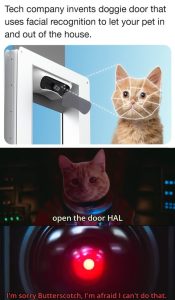 Stupid Bar Memes 689207aae1aa6332