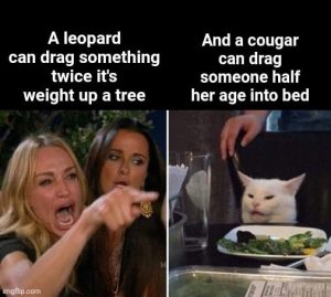 Stupid Bar Memes 6d46f3e4fb160ce8