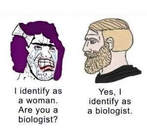 Stupid Bar Memes 7b2ca5b5c65c3a36d