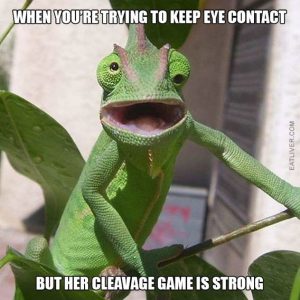Stupid Bar Memes 7ffeffde41202a9a0