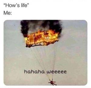 Stupid Bar Memes 801642e0ad160df4bf 1