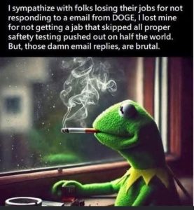Stupid Bar Memes 81b238d134e9568f75ce 1