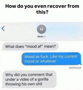 Stupid Bar Memes 8fmqbp0u74le1