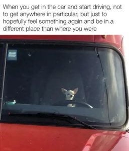 Stupid Bar Memes BdoZ6KJ