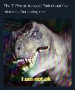 Stupid Bar Memes RBQFJ4d e1742429367202