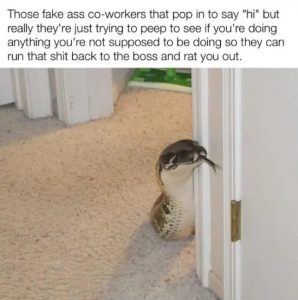 Stupid Bar Memes RjCGJjV