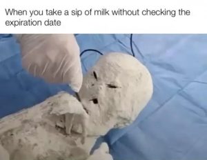 Stupid Bar Memes WyURXzt