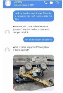 Stupid Bar Memes a1f356b11e4475dad0d