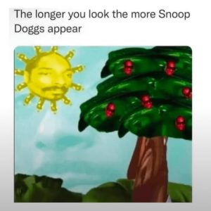 Stupid Bar Memes a4P6r4ps700b
