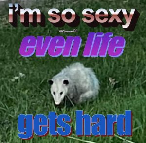 Stupid Bar Memes a5QByjys700b