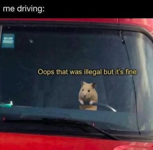 Stupid Bar Memes a87mDZ3s700b
