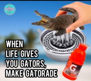 Stupid Bar Memes aGyBDv6s700b