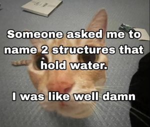 Stupid Bar Memes aLn4Pxxs700b