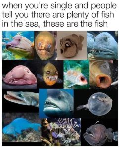 Stupid Bar Memes aQzQ6grs700b