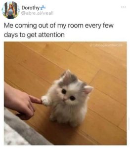 Stupid Bar Memes adBOrjMs700b