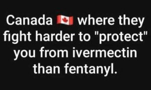 Stupid Bar Memes canadasfiersprotectsiver