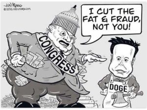 Stupid Bar Memes congreudsnotsdoge
