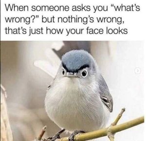 Stupid Bar Memes d2b017777a4b6ceccb6 1