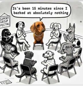 Stupid Bar Memes dogssupbeens15sminute