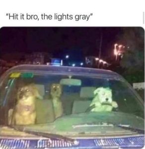 Stupid Bar Memes doitsitslightsis