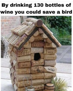 Stupid Bar Memes drinkings1inssavesbi