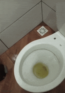 Stupid Bar Memes e7ebe7ce2d8f935b