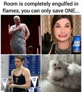 Stupid Bar Memes f19d4bf71ceb5