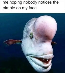 Stupid Bar Memes funnyssss6s19