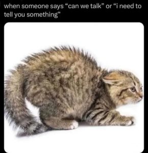 Stupid Bar Memes jsr05TG