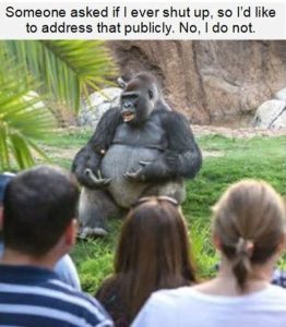 Stupid Bar Memes meeonesaskedseversshutu
